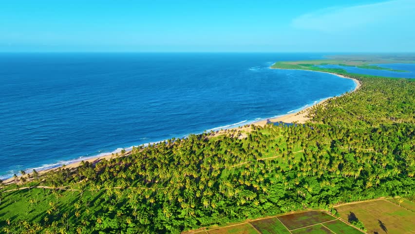 Aerial view of natural tropical landscape of palm tree beach with golden sand. A turquoise ocean against a blue sky on a sunny summer day. A Caribbean island. A journey to a tropical paradise.