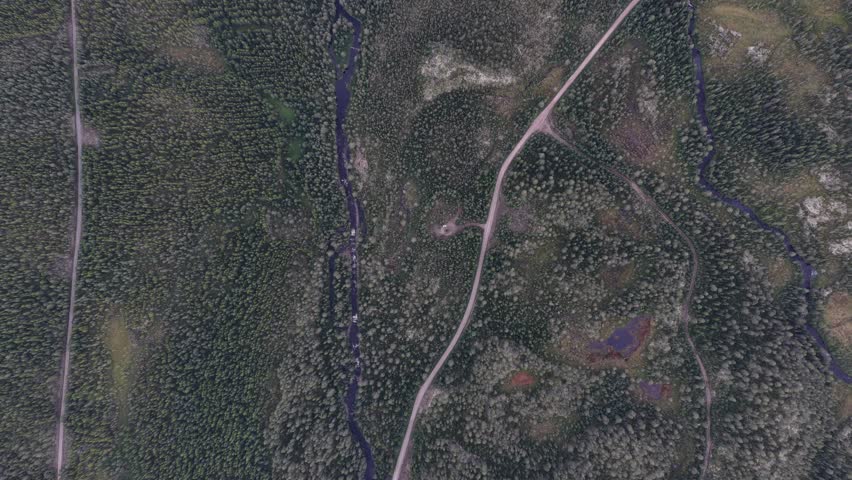 An aerial view of a vast green forest with a winding, dark river, a dirt road, and small ponds in Sweden