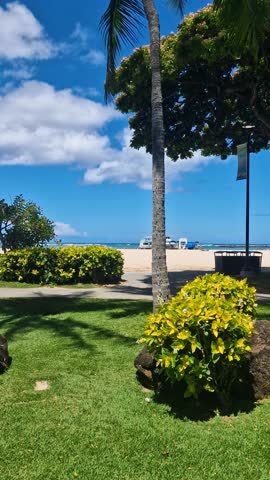 Vertical View of Waikiki Beach, Honolulu Hawaii USA From Green Beachfront Park