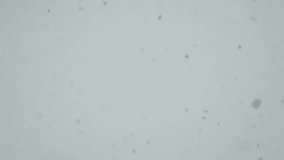 Close up of snowflakes falling during blizzard. Heavy snowfall in slow motion. Total whiteout in harsh winter snow storm. - Powered by Shutterstock - Get 15% off with code: PIKWIZARD15