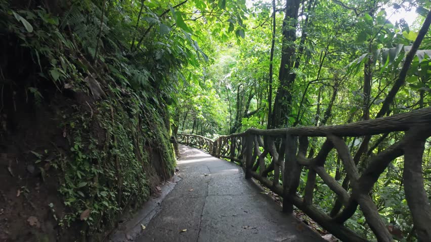 A scenic pathway surrounded by lush tropical rainforest in Mistico Park, La Fortuna, Costa Rica.