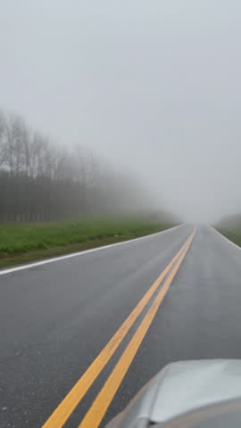 Misty Foggy Road vertical FPV footage. POV car driving through a Rural Field in Misty weather. Concept of sad, personal development, motivational phrase, inspirational quote.