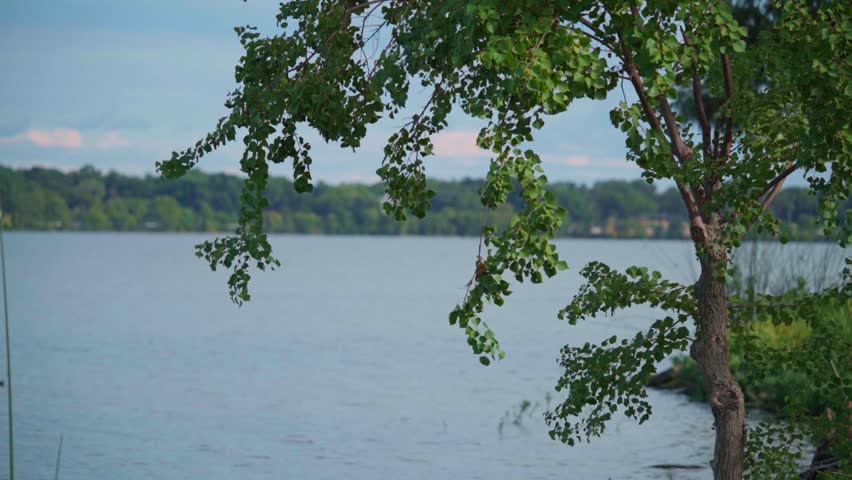 White Rock Lake Dallas, Texas still camera shot. 
