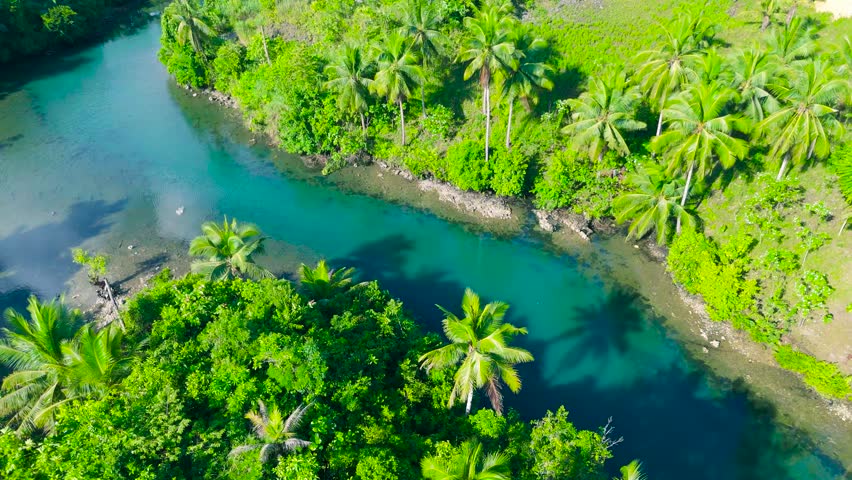 Aerial view of a vibrant turquoise river winding through lush tropical jungle and abundant palm trees. Danau Paisu Pok, Sumatra, Indonesia.