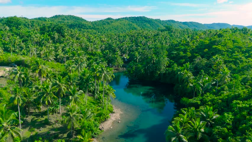 Aerial view of clear blue water surrounded by lush green palm trees, tropical jungle, wooden bridges, and canoes. Danau Paisu Pok, Sumatra, Indonesia.