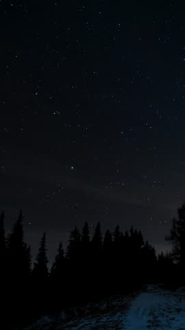 Time lapse of comet-shaped star trails over the forest in the night sky, Starry night sky above forest ridge, vertical footage