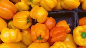 Vibrant yellow bell peppers glistening with freshness, perfect for healthy cooking tutorials or farm-to-table recipe videos showing healthy eating and colorful cuisine - Powered by Shutterstock - Get 15% off with code: PIKWIZARD15