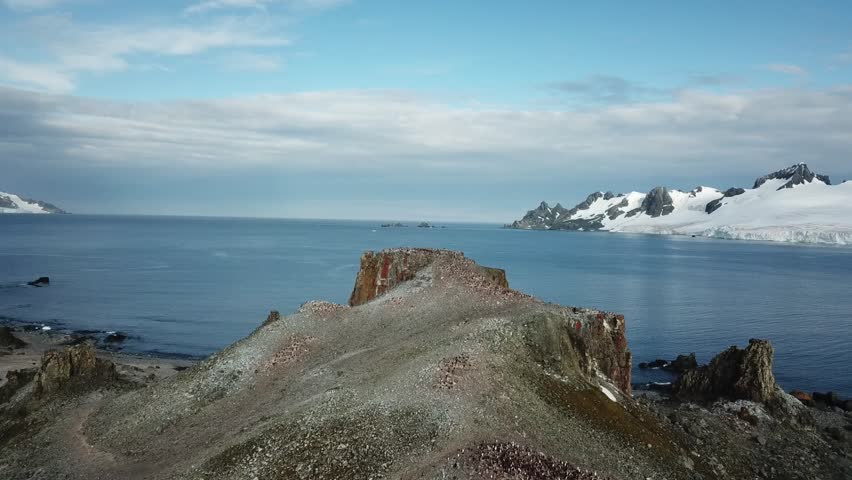 Sunny Antarctica snow covered coast aerial view. Majestic winter landscape under blue sky. Fly over snowy hill penguin colony and frozen ice floes ocean. Travel to South Pole. Explore polar wildlife