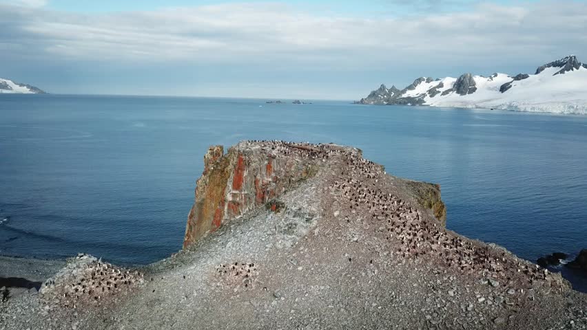 Sunny Antarctica snow covered coast aerial view. Majestic winter landscape under blue sky. Fly over snowy hill penguin colony and frozen ice floes ocean. Travel to South Pole. Explore polar wildlife
