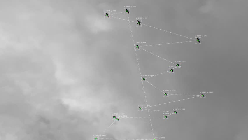 Computer Vision with Object Recognition Scanner Overlay. Big Data. CCTV AI Interface Scanning. Blob Tracking Lines, Coordinates, Bounding Boxes. Plexus style connections. Flying Birds