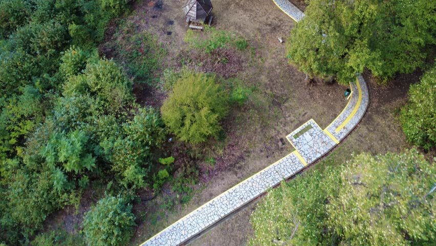 Bench Park in Nature surrounded by Trees in a Forest