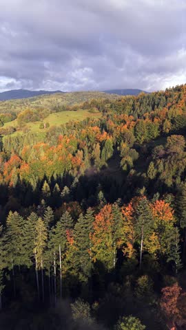 Aerial view of vibrant autumn forest with colorful trees and rolling hills under dramatic cloudy sky. Scenic landscape showing the beauty of fall season in the mountains.