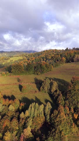 Aerial view of autumn countryside with green fields, colorful trees, and mountain hills under moody cloudy sky, Scenic landscape showing the beauty of fall season in the mountains.