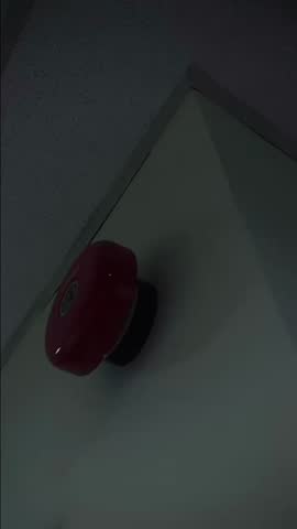 BELL RING INSERT VIDEO | LOW EXPOSURE | POTRAIT MODE