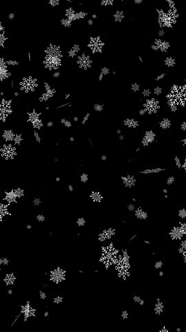 Snowflake Flying Isolated on Back Background. Snowfall Falling. Seamless Loop. Ultra hd 4k