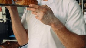 Animation of network of connections over caucasian male baker presenting bread. Global business, food and digital interface concept, digitally generated video. - Powered by Shutterstock - Get 15% off with code: PIKWIZARD15