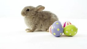 Animation of confetti over rabbit with easter eggs on white background at easter. Easter, tradition and celebration concept digitally generated video. - Powered by Shutterstock - Get 15% off with code: PIKWIZARD15