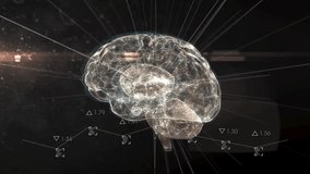 Animation of data processing and digital brain on black background. Global science, computing and digital interface concept digitally generated video. - Powered by Shutterstock - Get 15% off with code: PIKWIZARD15