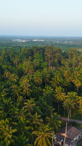 Vertical clip of In the Thong Kha National Park in Thailand you can find alternative rural tourism areas in the middle of nature