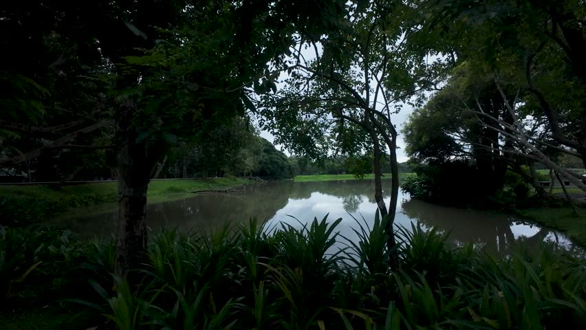 Peaceful pond in a lush green park, reflecting an overcast sky. Ideal for nature, relaxation, and calm scenes.