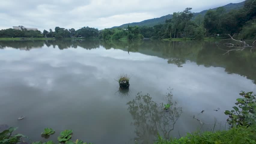 Tranquil natural scene featuring a still lake, vibrant green foliage, and mountain backdrop under an overcast sky.