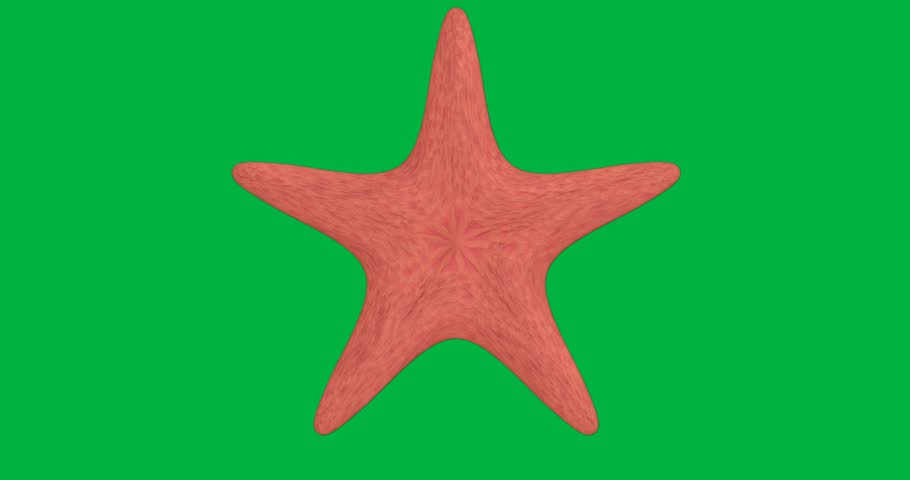 Abstract fibrous orange star-shaped form rotating on transparent background showcasing tech concept. Geometric, modern, vibrant, organic, minimalistic, artistic, dynamic