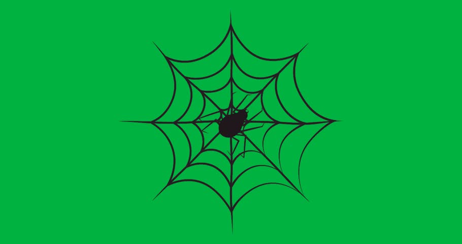 spider silhouette crawling on transparent background, showcasing spider web for graphic design. Intricate, gothic, monochrome, pattern, delicate, symmetry, menace