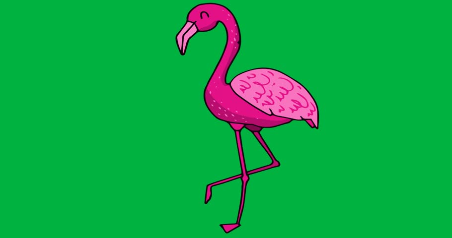 Cartoon flamingo graphic standing on one leg showcasing marketing asset with transparent background. Stylized, animals, mascot, vector, minimalistic, tropical, nature