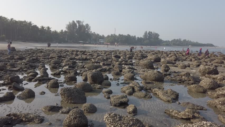 Expansive rocky beach with abundant oyster clusters and shallow tide pools reflecting the sky. Distant figures stroll along the sandy shore, with boats visible on the calm sea horizon.
