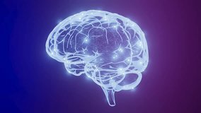 Futuristic brain with flowing data particles, concept of intelligence and AI.A brain with a blue background. - Powered by Shutterstock - Get 15% off with code: PIKWIZARD15