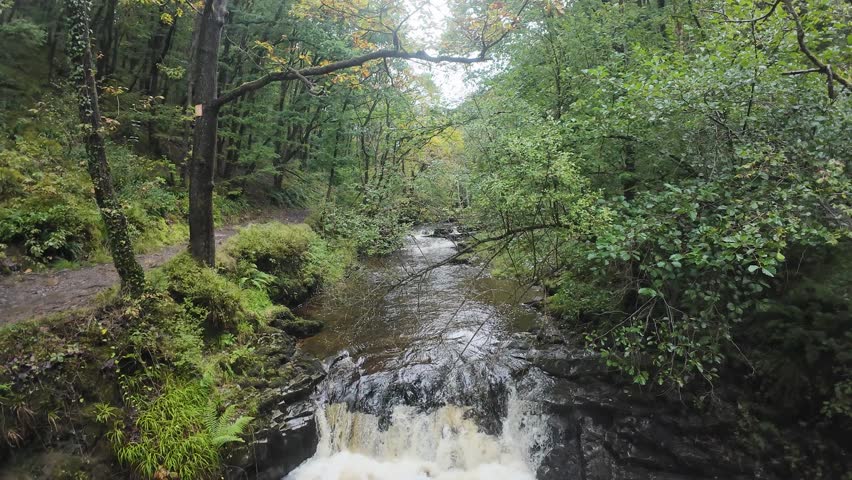 Captivating aerial view of a gentle waterfall flowing through lush greenery on a serene forest trail in Brecon Beacons, Wales. Calm, immersive nature scene with muted, natural lighting.