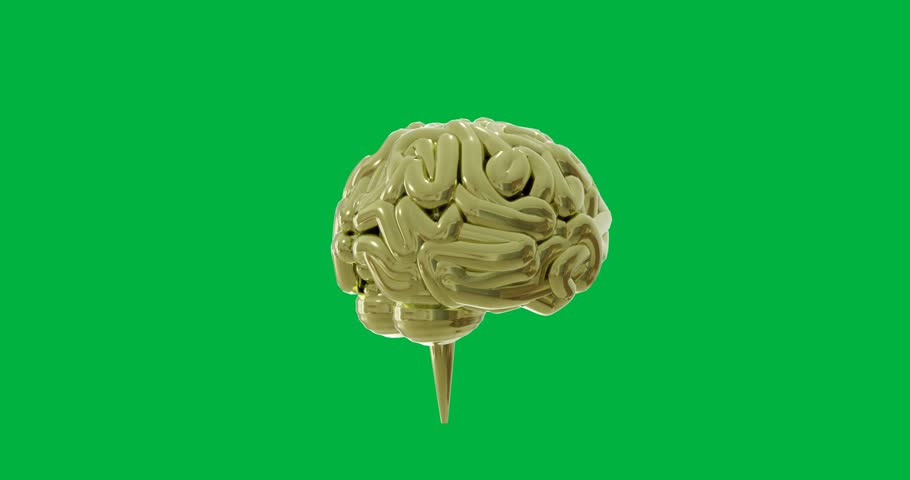 Animation of human brain spinning on transparent background. Artificial intelligence, science, computing and data processing concept digitally generated video.