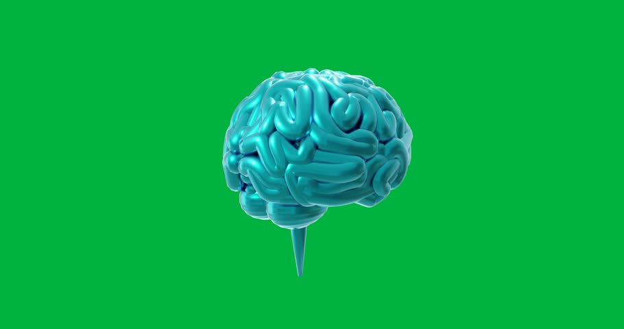 Animation of blue human brain spinning on transparent background. Artificial intelligence, science, computing and data processing concept digitally generated video.