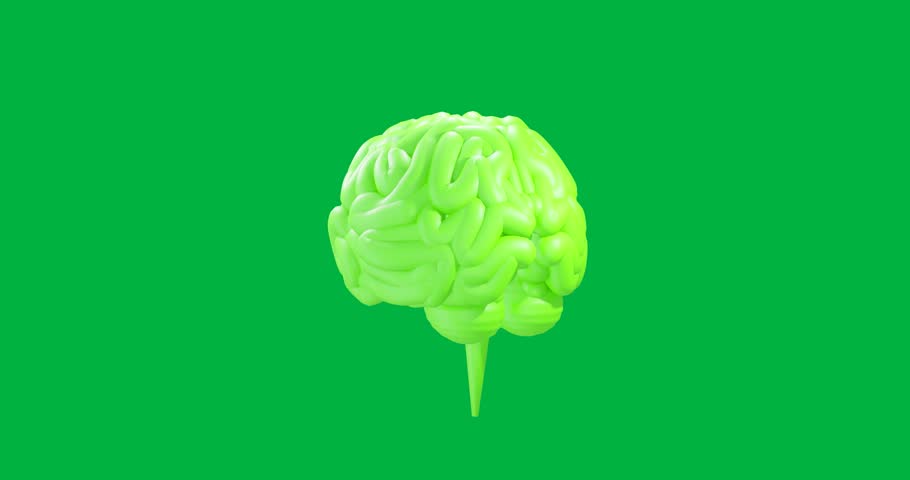 Animation of green human brain spinning on transparent background. Artificial intelligence, science, computing and data processing concept digitally generated video.