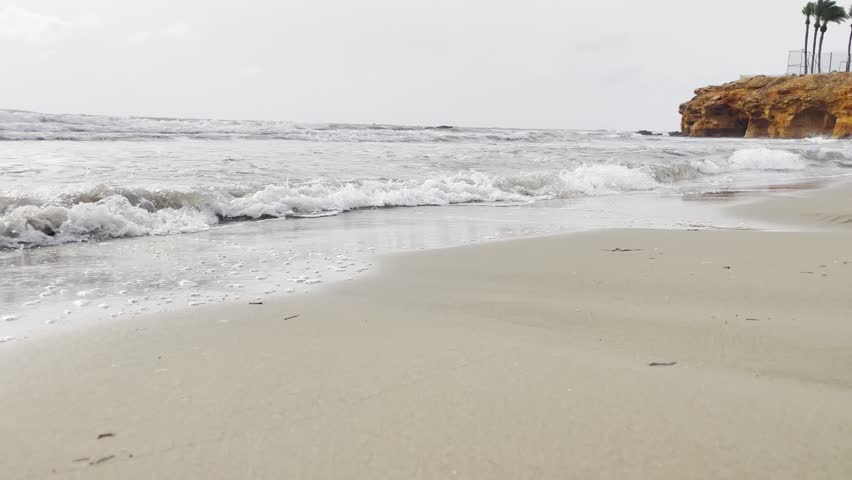 The seashore at dawn. Coastal waves