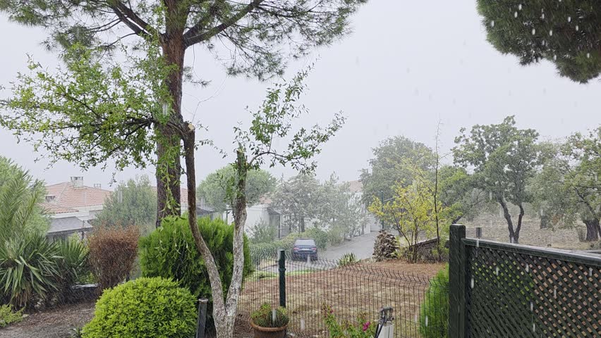 Rain in the garden with sea on the backgroud