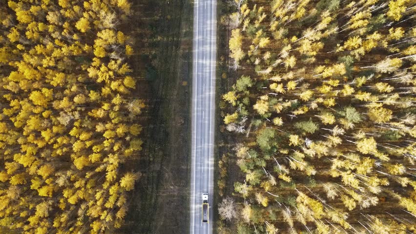 Aerial view of cars driving along the asphalt road which is running through the green forest. Beautiful morning and the sun rays are shining brightly. Early autumn.