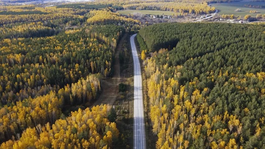 Aerial view of cars driving along the asphalt road which is running through the green forest. Beautiful morning and the sun rays are shining brightly. Early autumn.