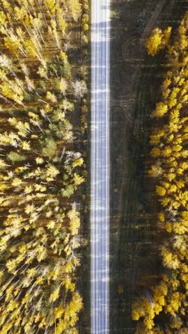 Aerial view of the road along which a car is driving in autumn