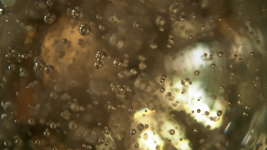 Super Slow Motion Shot of Rising Bubbles in a Fresh Sparkling Drink at 1000fps.