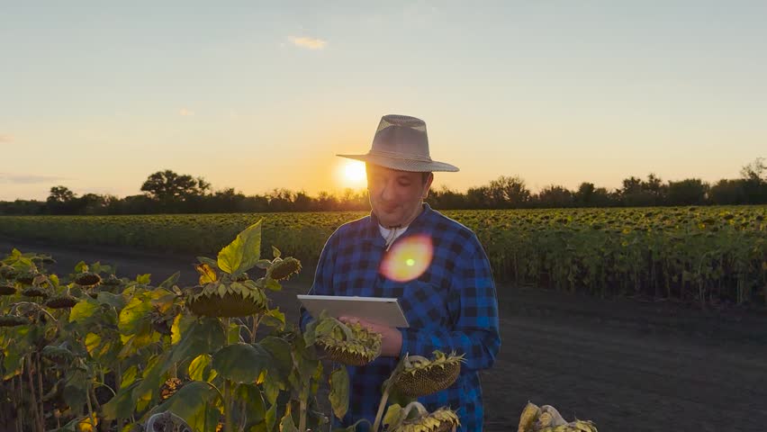 Agricultural future merging with digital advancements, hands-on farming with smart equipment, connected farm experience, mobile apps in modern farming, agribusiness data insights, digital agronomist - Powered by Shutterstock - Get 15% off with code: PIKWIZARD15