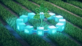 Digital plant, glowing blockchain cubes in green field. Represents blockchain technology, smart agriculture, food supply chain, data tracking, sustainability, innovation. Future farming concept. - Powered by Shutterstock - Get 15% off with code: PIKWIZARD15