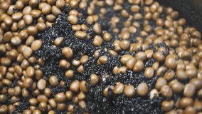 Closeup view of cooking chestnuts in a roasting machine at a night food market in a Chinatown. Roasted chestnuts are a popular street food in Asia. - Powered by Shutterstock - Get 15% off with code: PIKWIZARD15