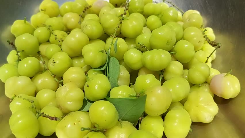 Fresh Phyllanthus acidus or cermai fruit on bowl. Phyllanthus acidus is a fruit that tastes sour and lots of vitamins