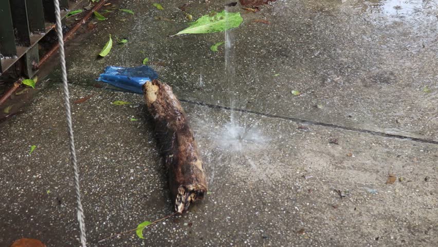 Water splashing from a green leaf onto a log and concrete ground during a rain shower, creating a dynamic and refreshing natural scene 4k video footage