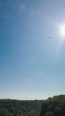 A bird soars beneath the bright sun over a scenic landscape of forested hills under a clear sky