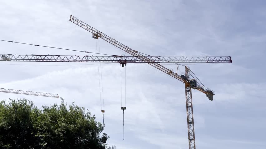 Two tall construction cranes stand against a blue sky with light clouds, towering above green trees. ongoing urban development