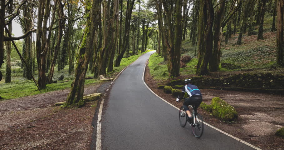 Cyclist riding bicycle on winding asphalt road through a dense, green forest in Sintra Cascais Natural Park, enjoying the tranquil outdoor environment and physical activity. Portugal, Lisbon