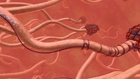 A highly detailed 3D animation showcasing the intricate structure of a neuron, including its myelin sheath and nodes of Ranvier, within a complex neural network environment. - Powered by Shutterstock - Get 15% off with code: PIKWIZARD15