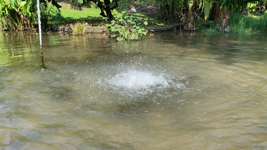 A simple fountain from a single hose in the middle of pond, at a garden
